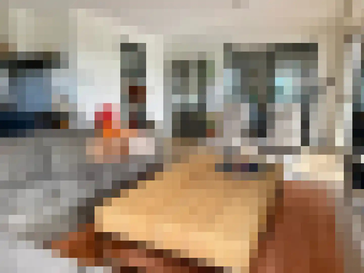 Djerreblom 16 Delfstrahuizen thumbnail 35