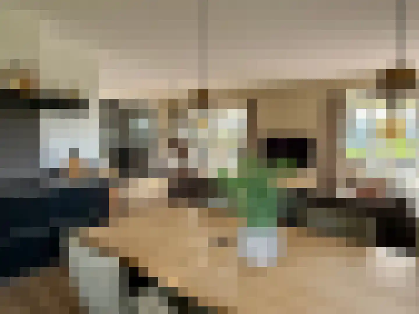 Djerreblom 16 Delfstrahuizen thumbnail 36