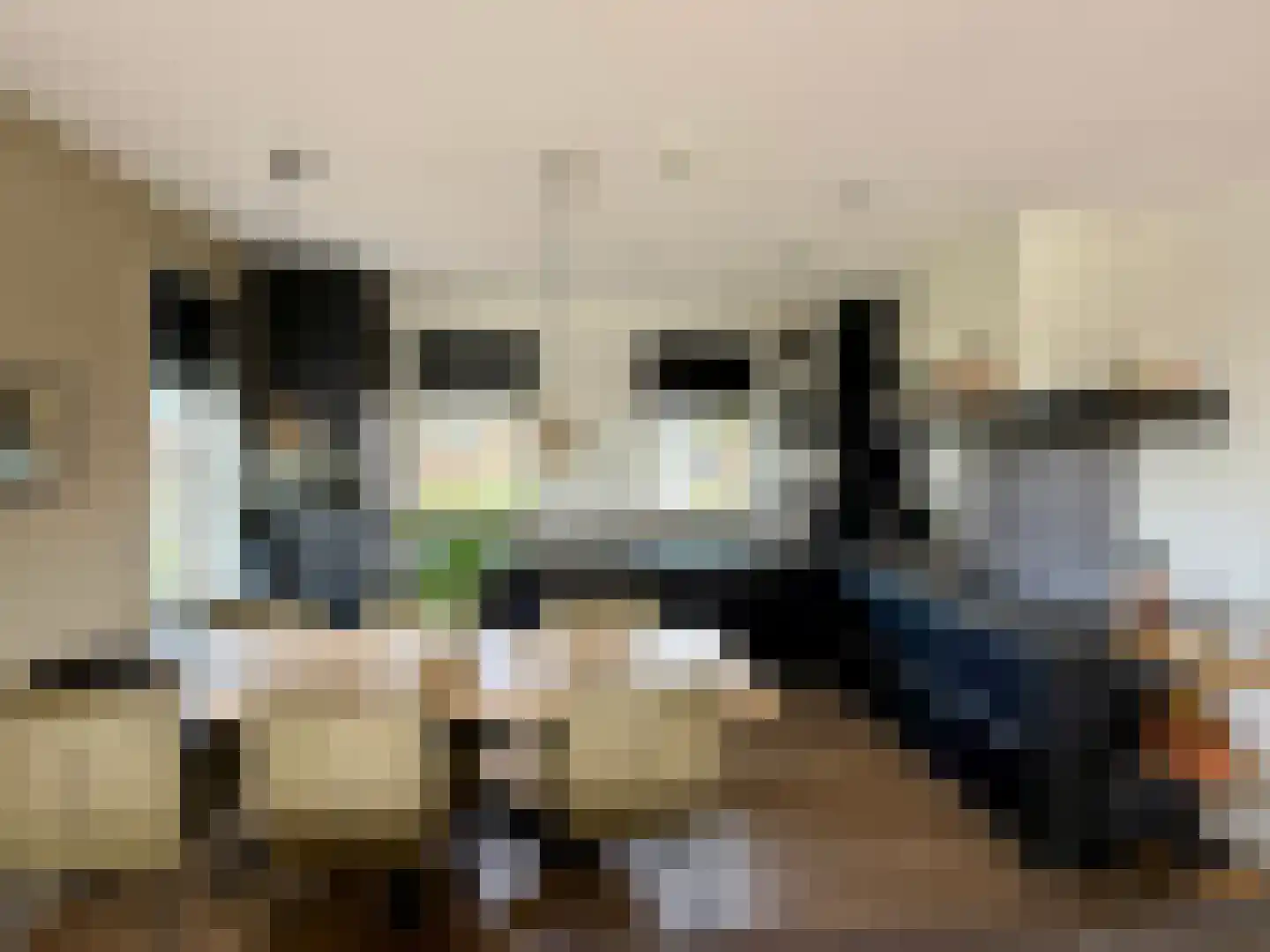 Djerreblom 16 Delfstrahuizen thumbnail 37