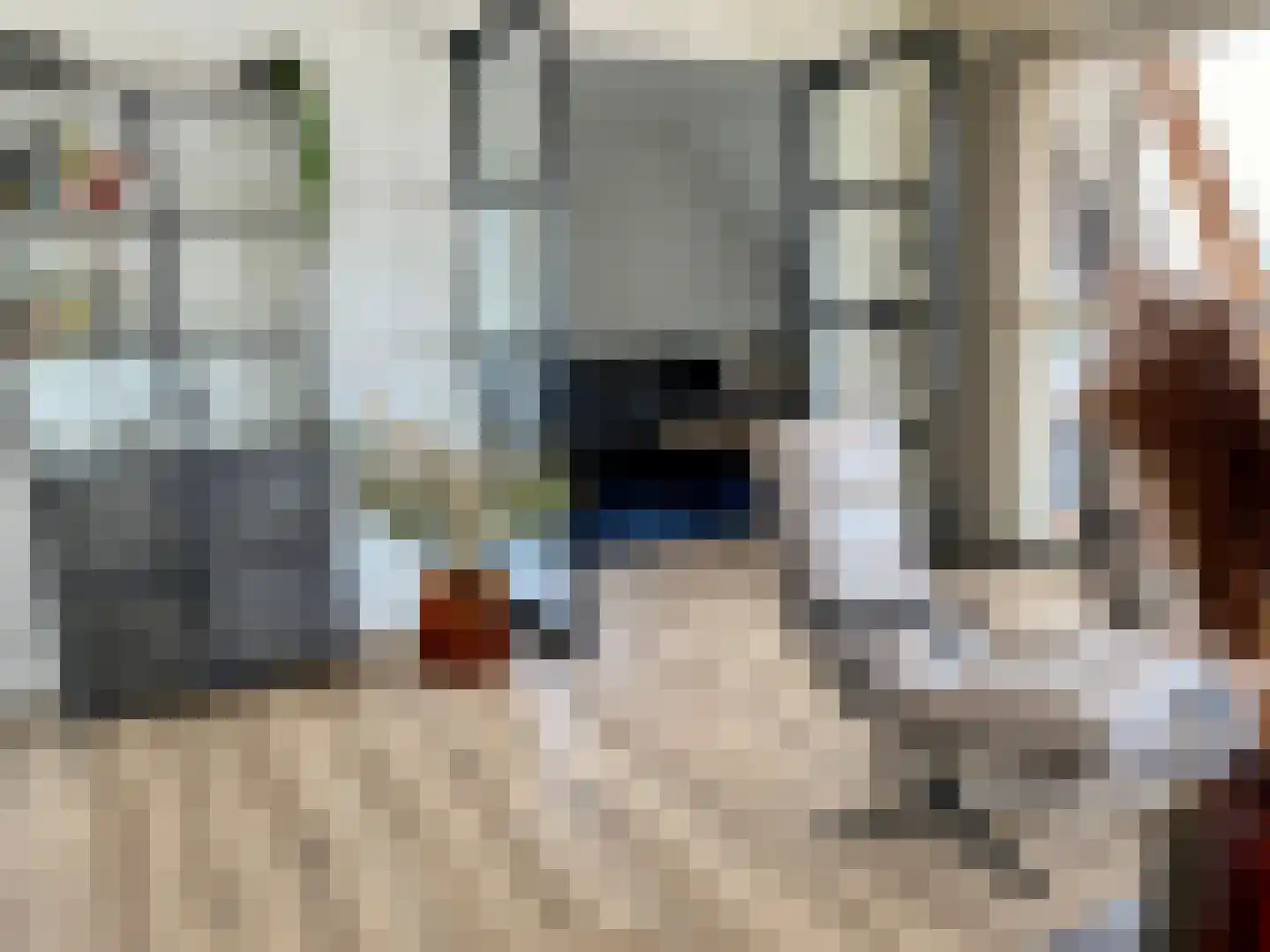 Djerreblom 16 Delfstrahuizen thumbnail 39
