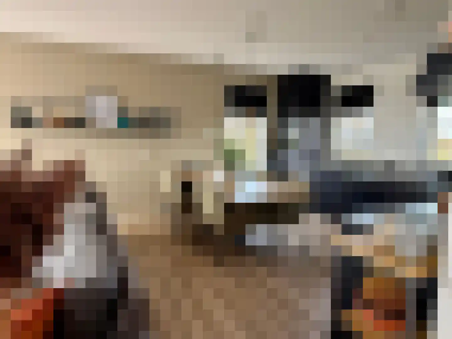 Djerreblom 16 Delfstrahuizen thumbnail 41