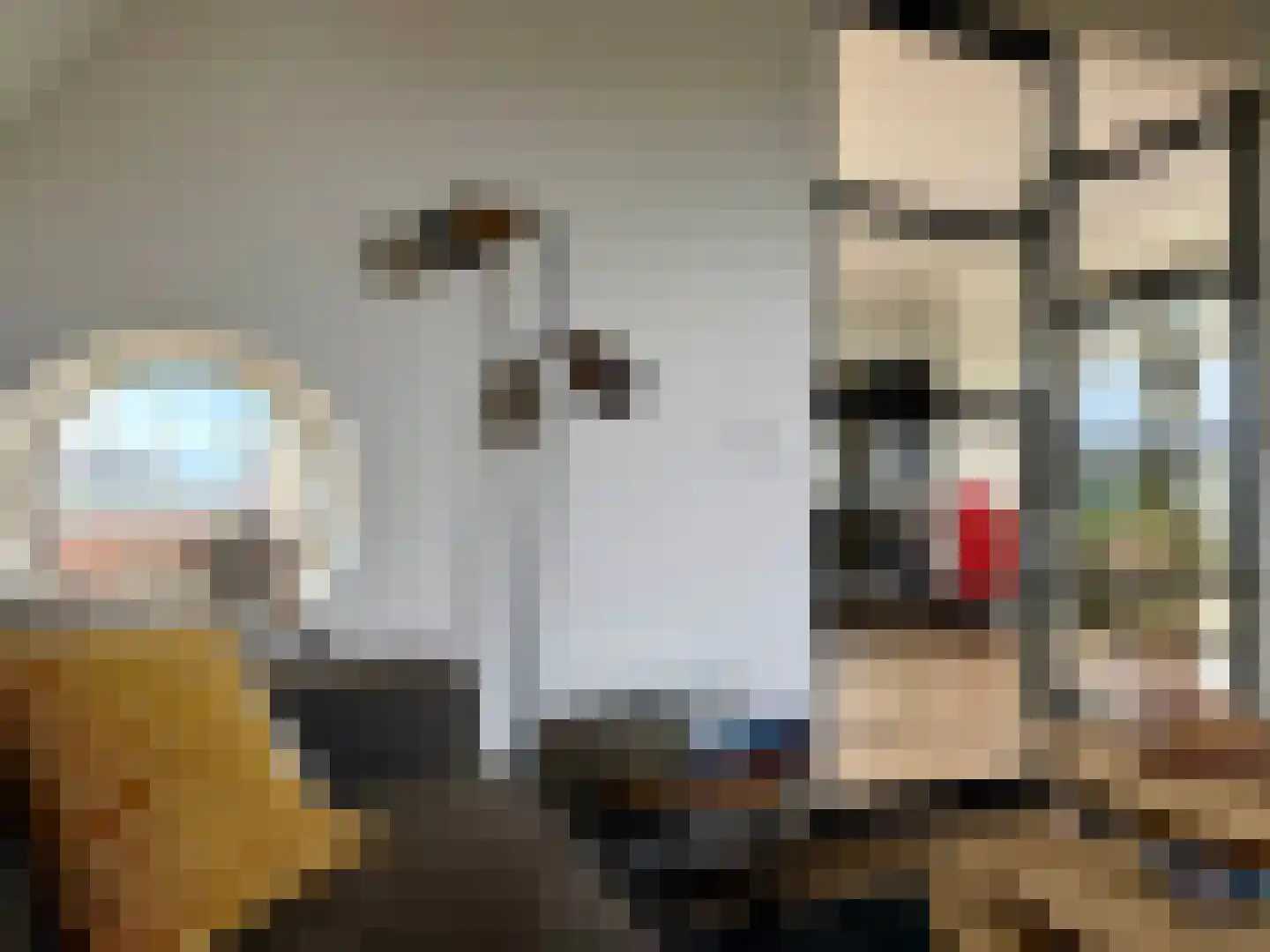 Djerreblom 16 Delfstrahuizen thumbnail 42