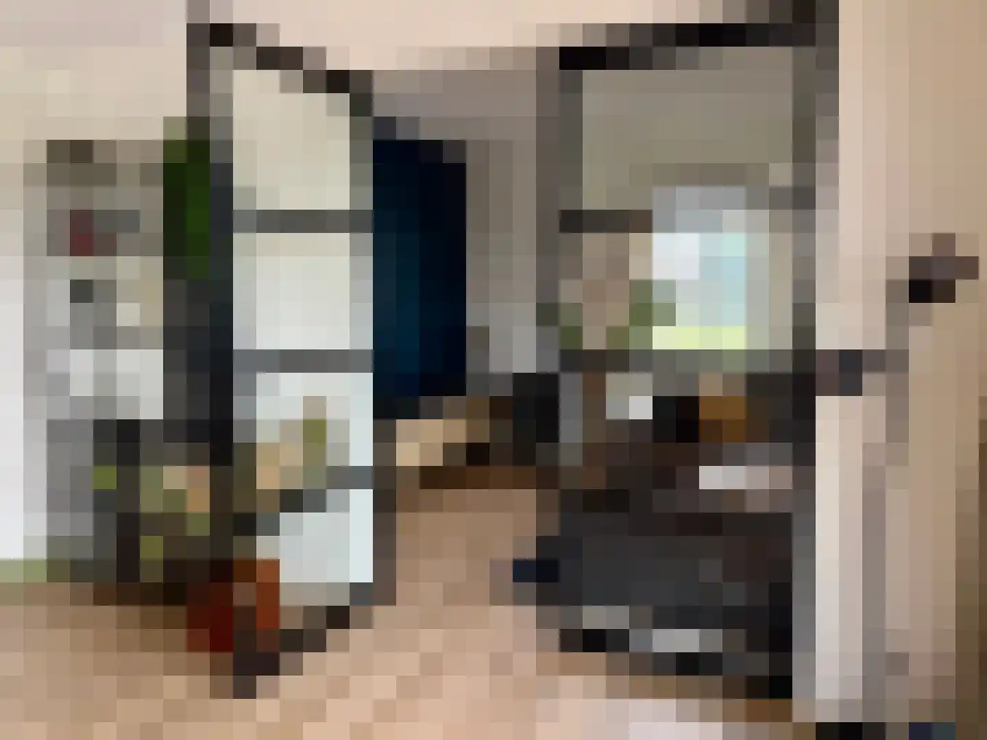 Djerreblom 16 Delfstrahuizen thumbnail 43