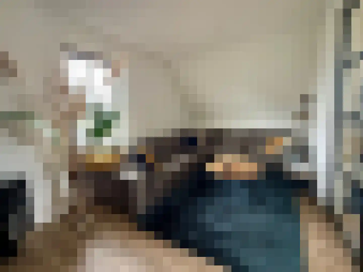 Djerreblom 16 Delfstrahuizen thumbnail 44