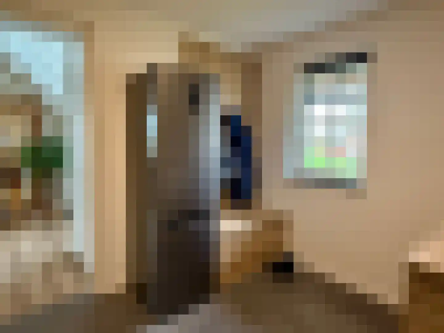 Djerreblom 16 Delfstrahuizen thumbnail 48