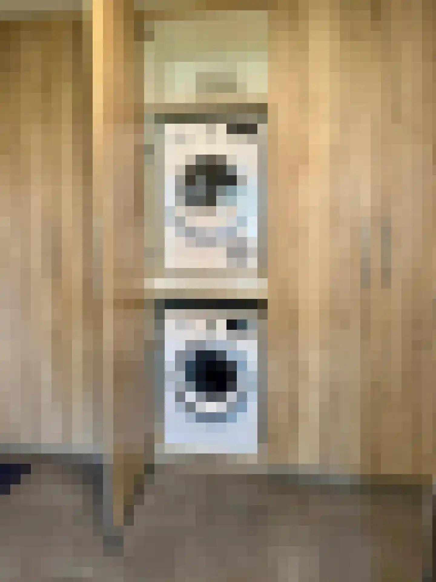 Djerreblom 16 Delfstrahuizen thumbnail 49