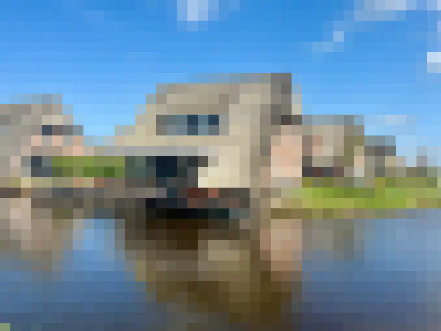 Djerreblom 16 Delfstrahuizen thumbnail 5
