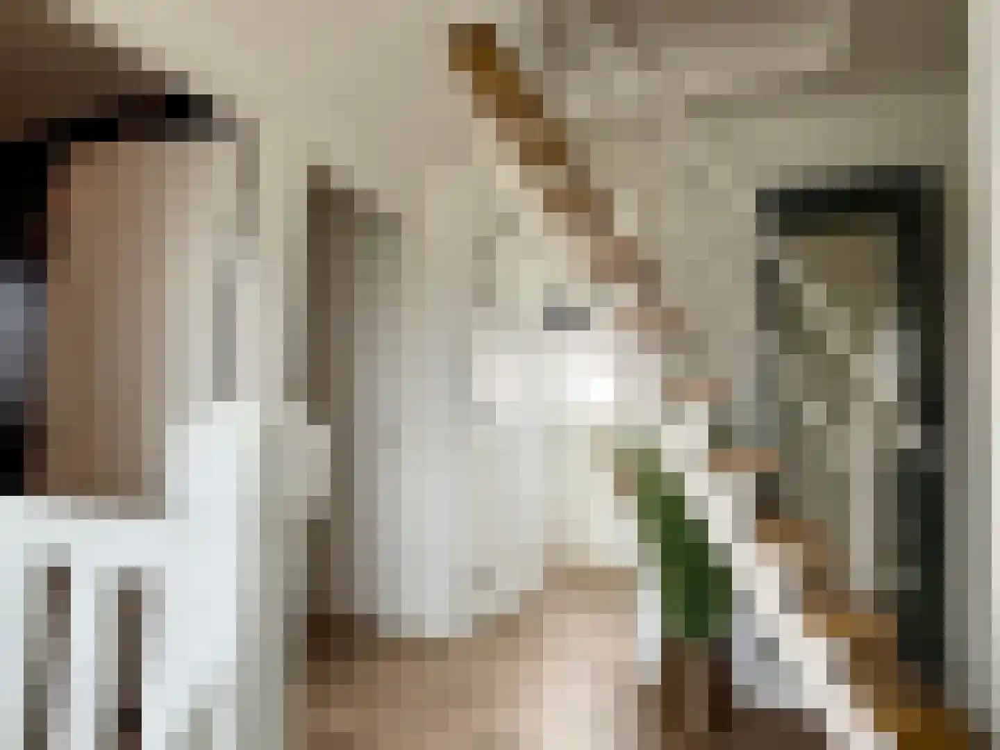 Djerreblom 16 Delfstrahuizen thumbnail 56