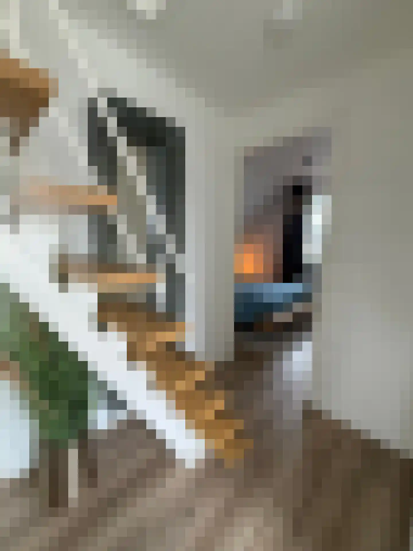 Djerreblom 16 Delfstrahuizen thumbnail 57
