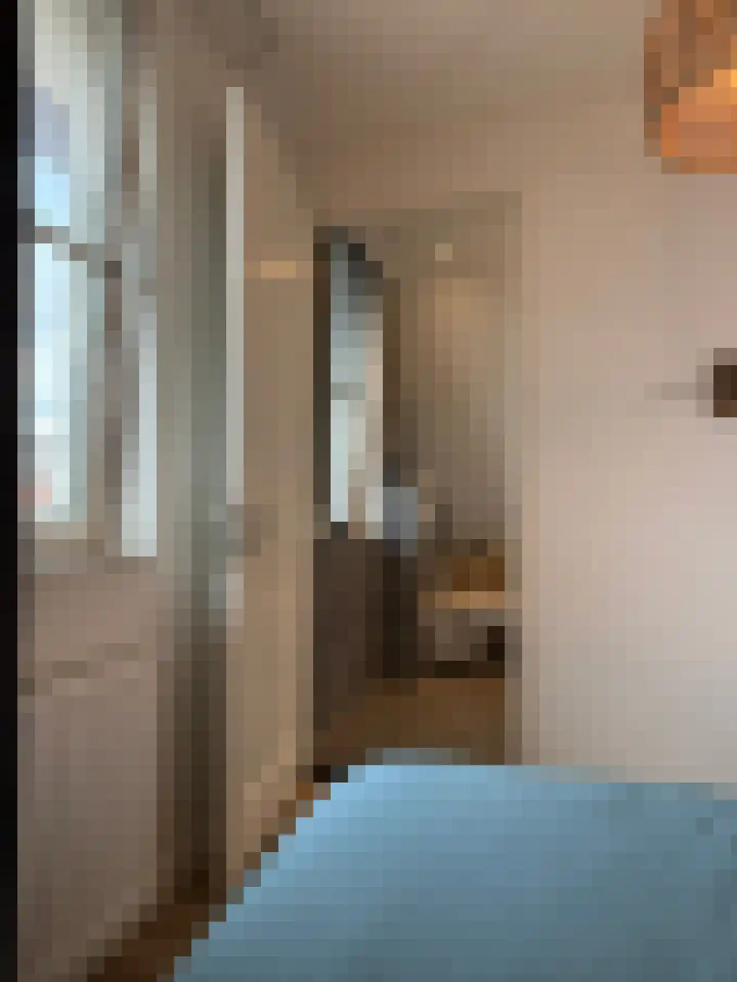 Djerreblom 16 Delfstrahuizen thumbnail 60