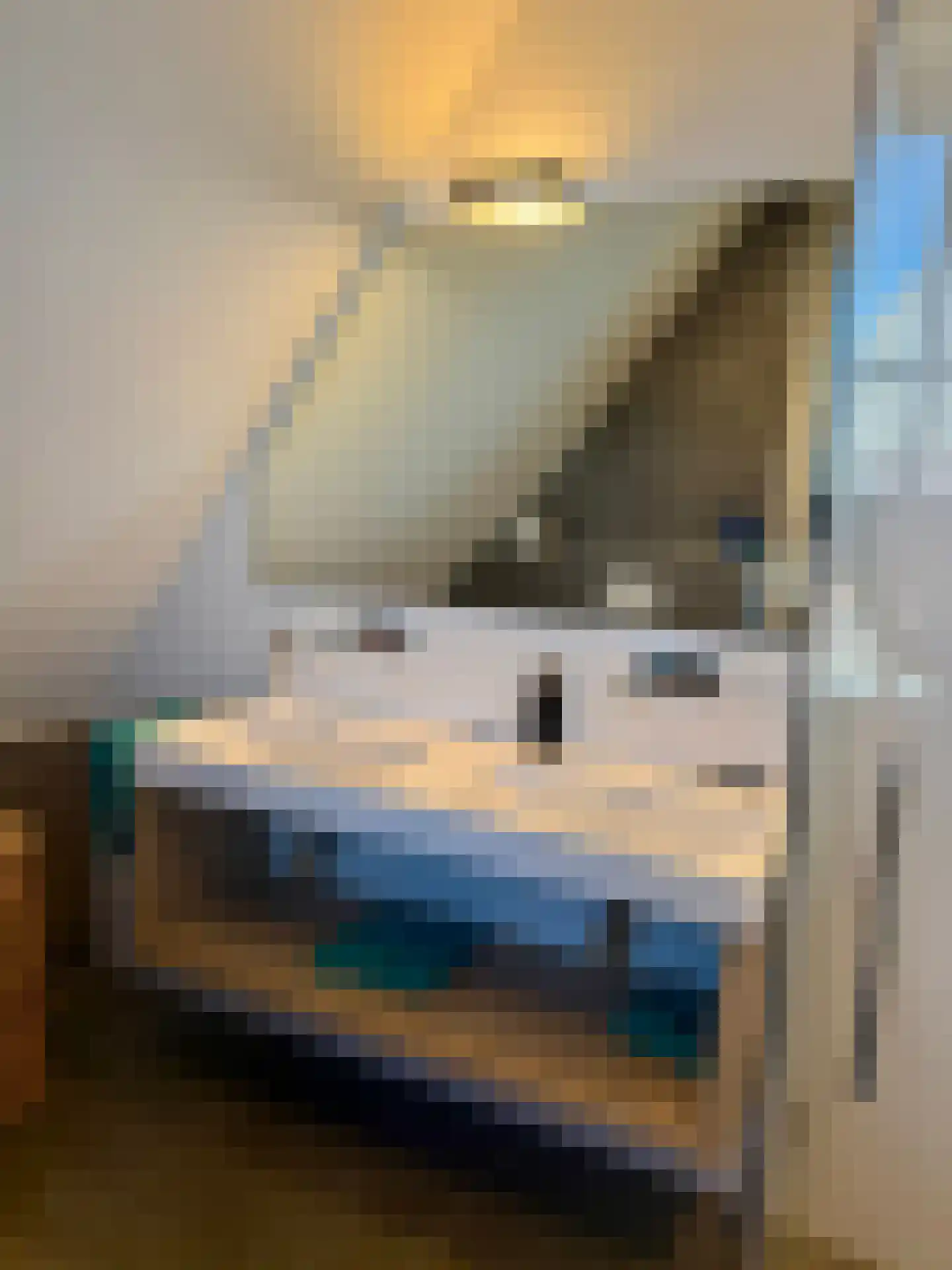 Djerreblom 16 Delfstrahuizen thumbnail 63