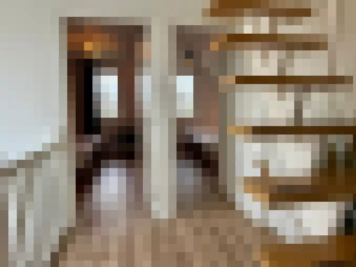 Djerreblom 16 Delfstrahuizen thumbnail 65