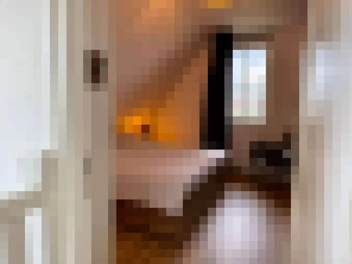 Djerreblom 16 Delfstrahuizen thumbnail 69