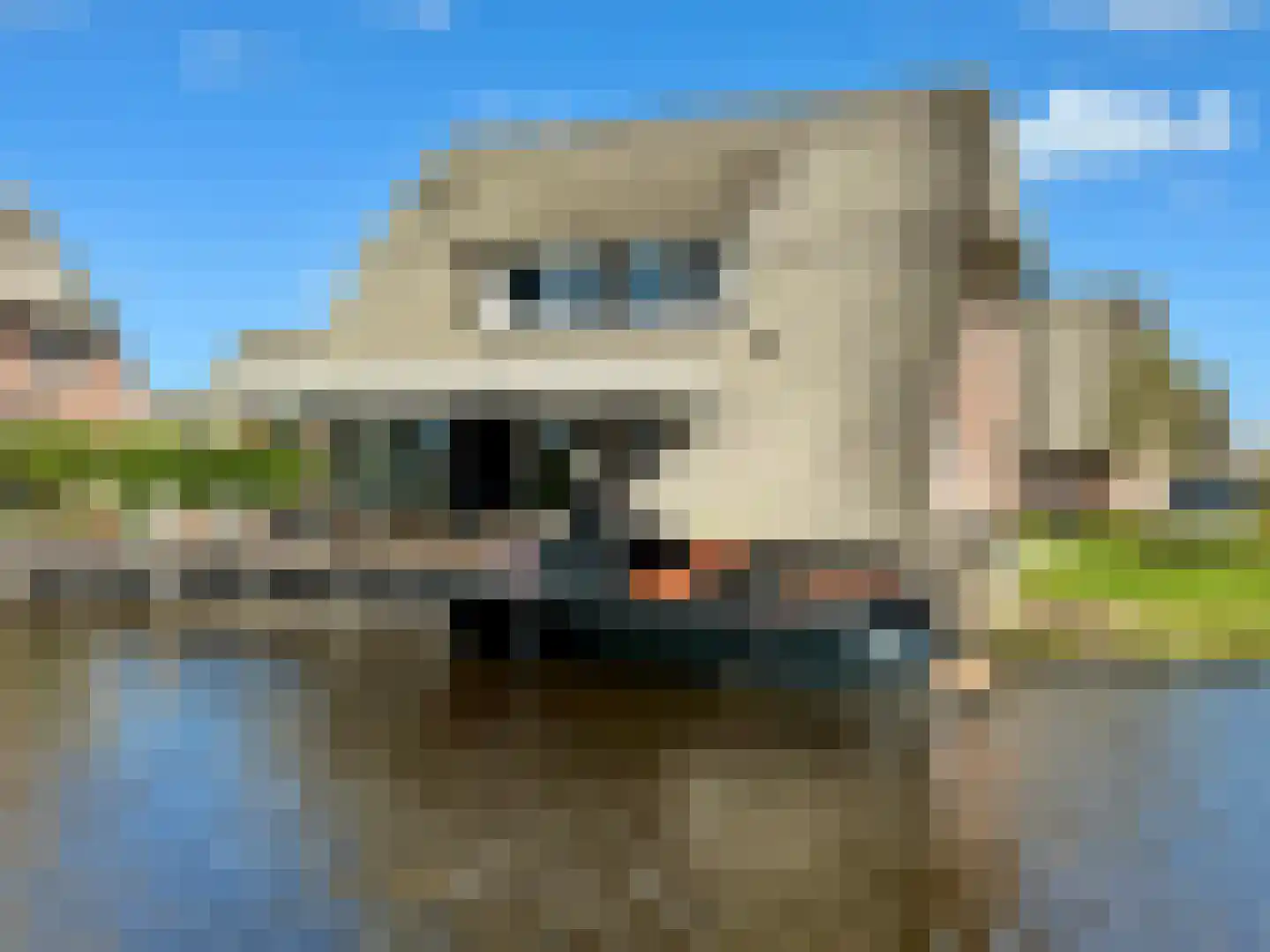 Djerreblom 16 Delfstrahuizen thumbnail 7