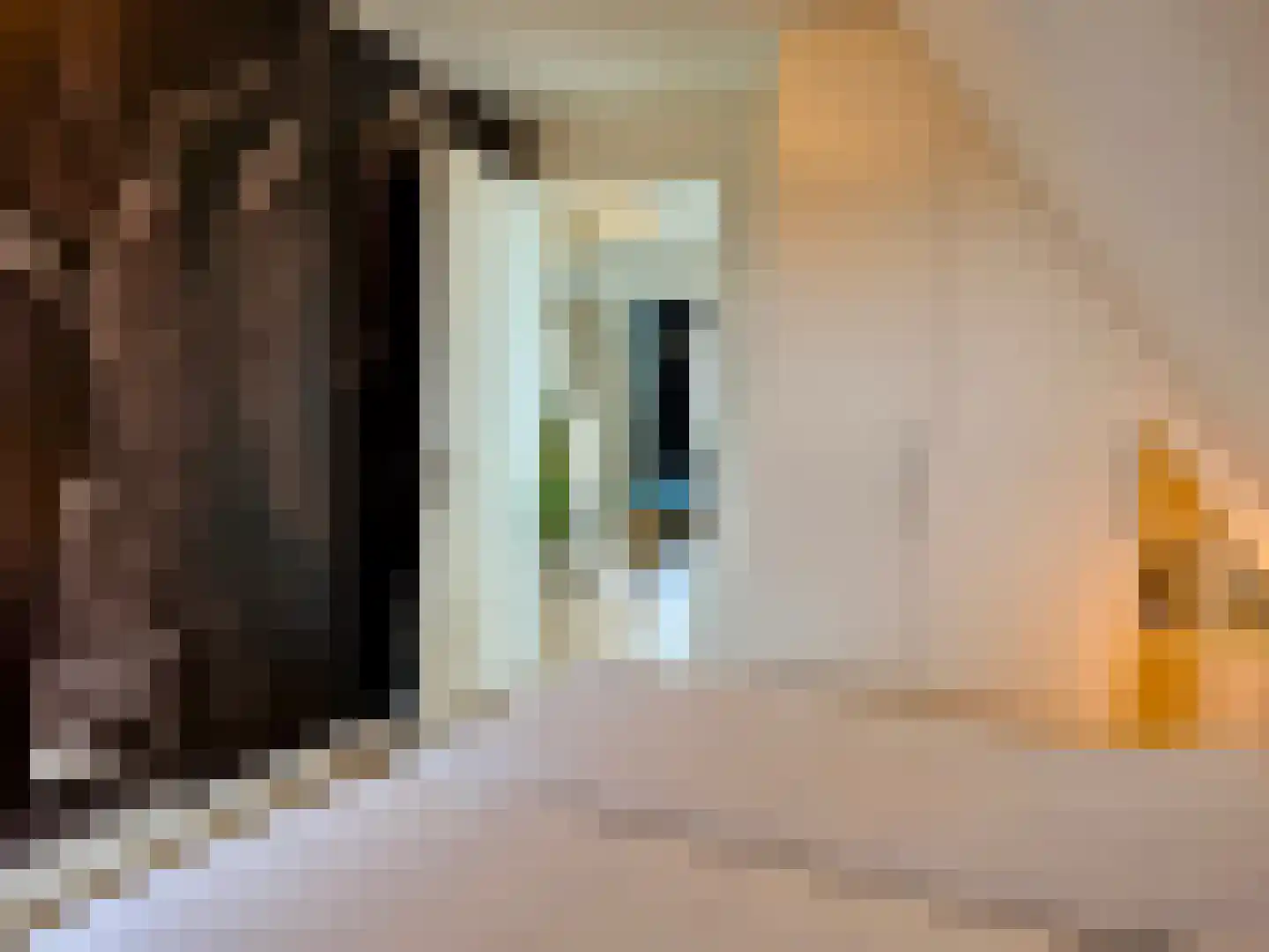 Djerreblom 16 Delfstrahuizen thumbnail 70