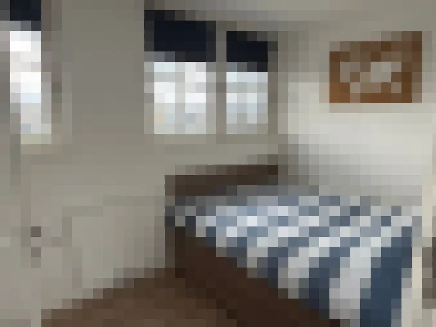 Djerreblom 16 Delfstrahuizen thumbnail 71