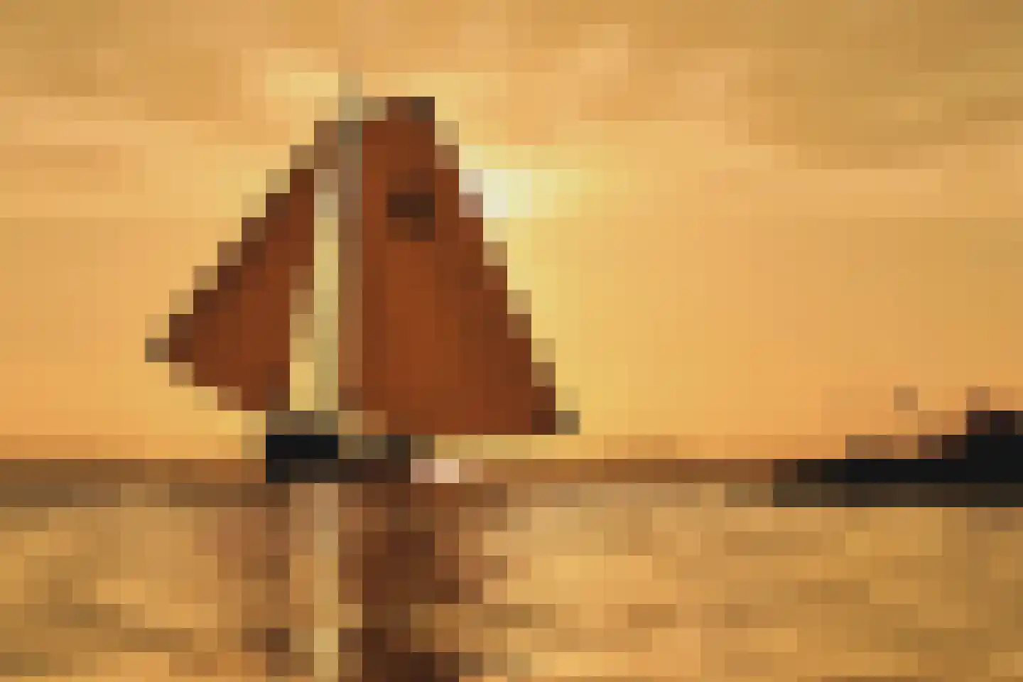 Djerreblom 16 Delfstrahuizen thumbnail 94