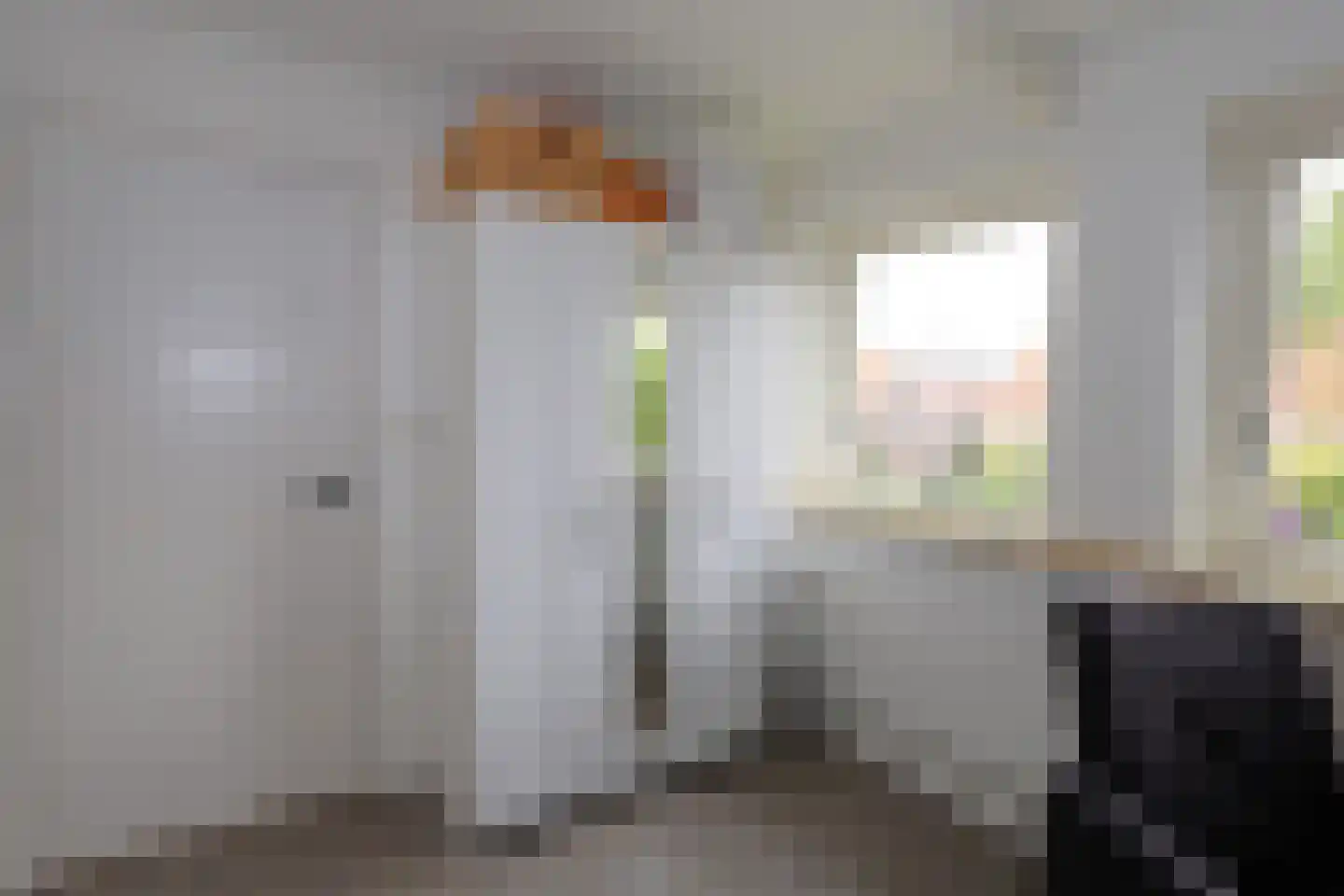 Djipsleatswei 13 Heeg thumbnail 16