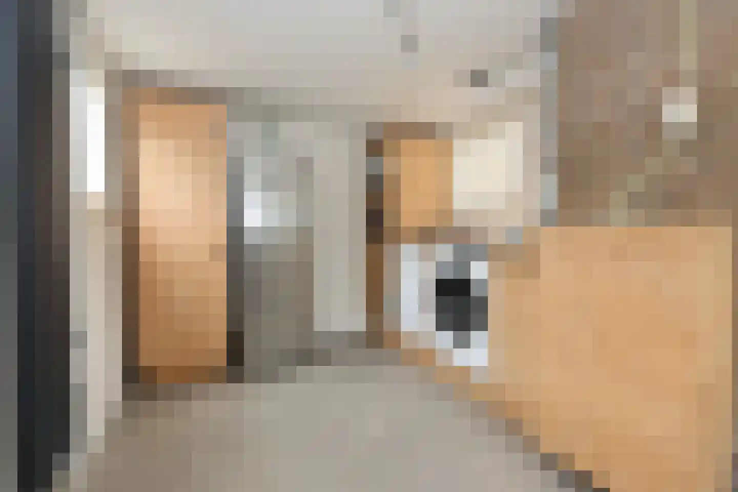 Djipsleatswei 13 Heeg thumbnail 21