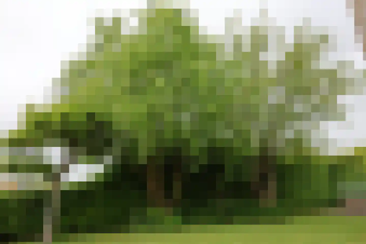 Djipsleatswei 13 Heeg thumbnail 22