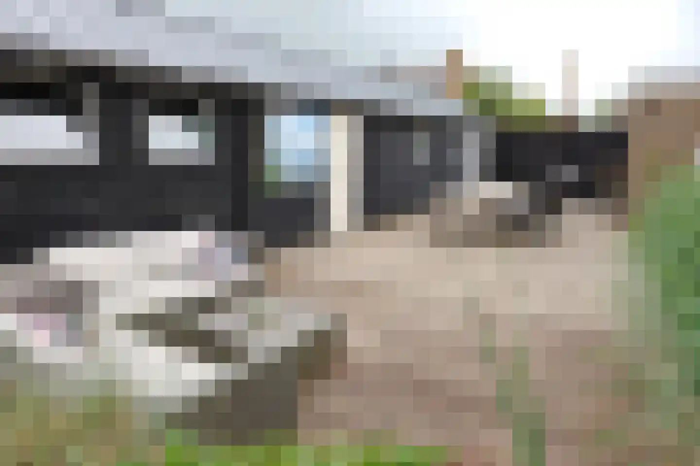 Djipsleatswei 13 Heeg thumbnail 23