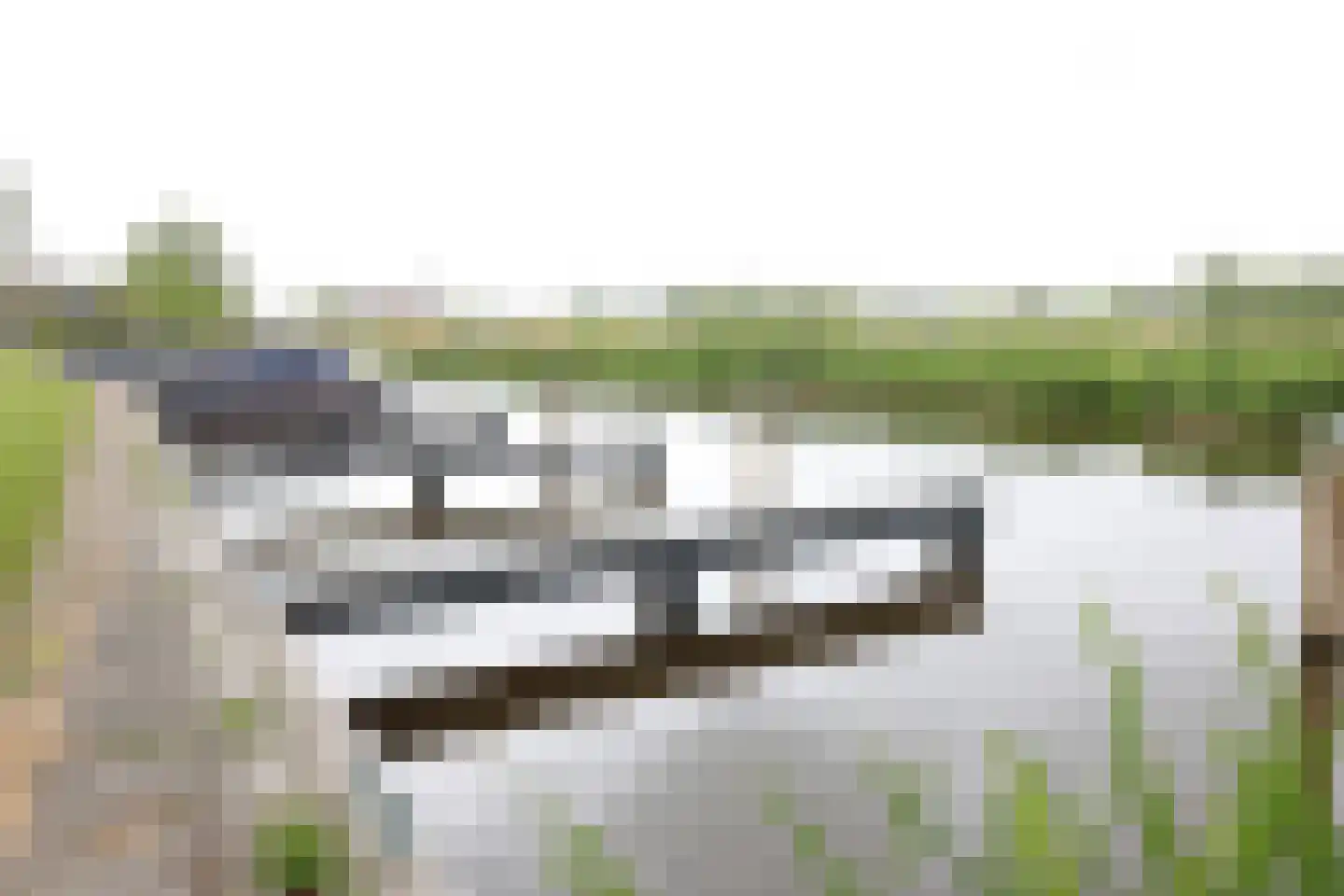 Djipsleatswei 13 Heeg thumbnail 30