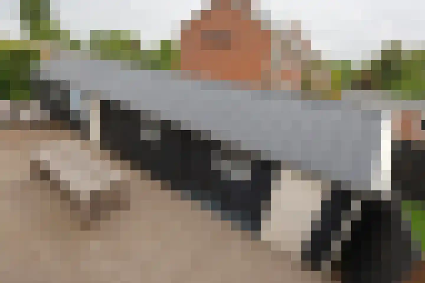 Djipsleatswei 13 Heeg thumbnail 5
