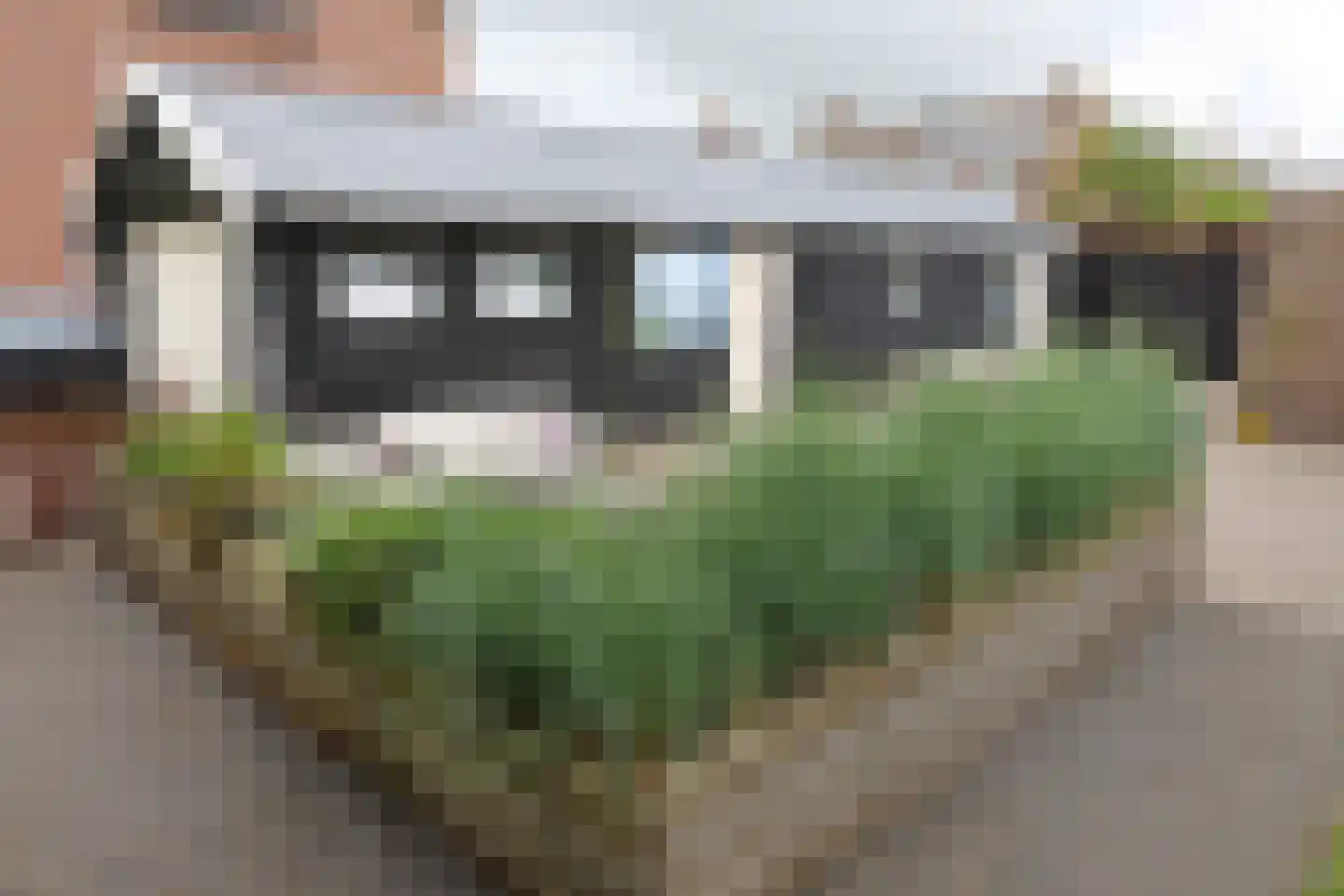 Djipsleatswei 13 Heeg thumbnail 6