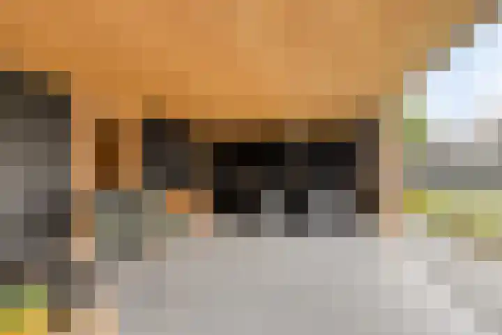 Doalhôf 110 A Gorredijk thumbnail 32