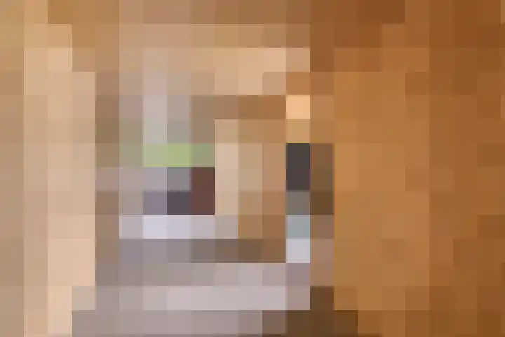 Doalhôf 110 A Gorredijk thumbnail 33