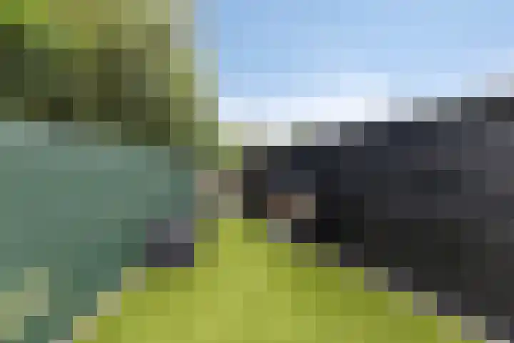 Doalhôf 110 A Gorredijk thumbnail 36