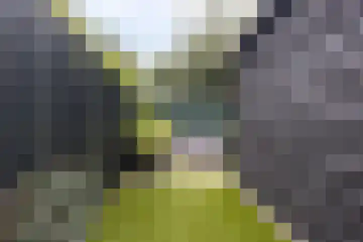Doalhôf 110 A Gorredijk thumbnail 37