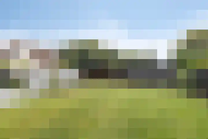 Doalhôf 110 A Gorredijk thumbnail 38