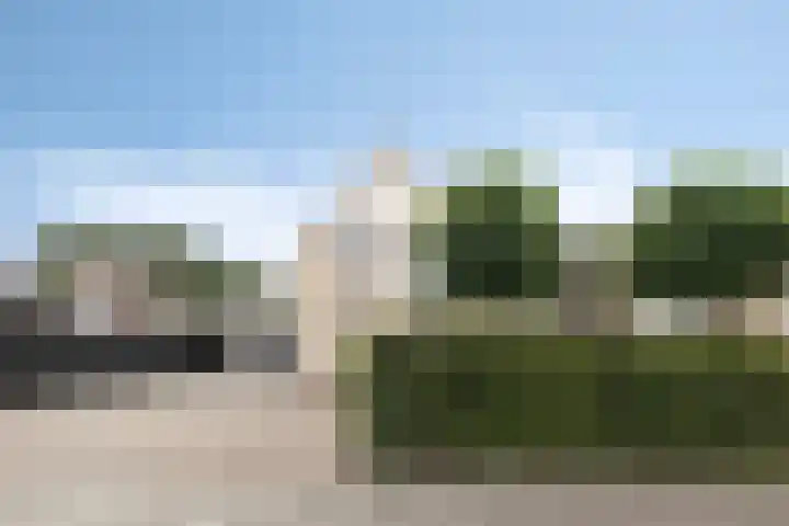 Doalhôf 110 A Gorredijk thumbnail 42