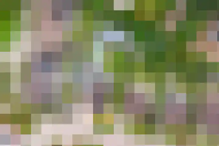Doalhôf 110 A Gorredijk thumbnail 43