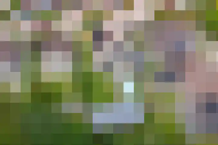 Doalhôf 110 A Gorredijk thumbnail 44