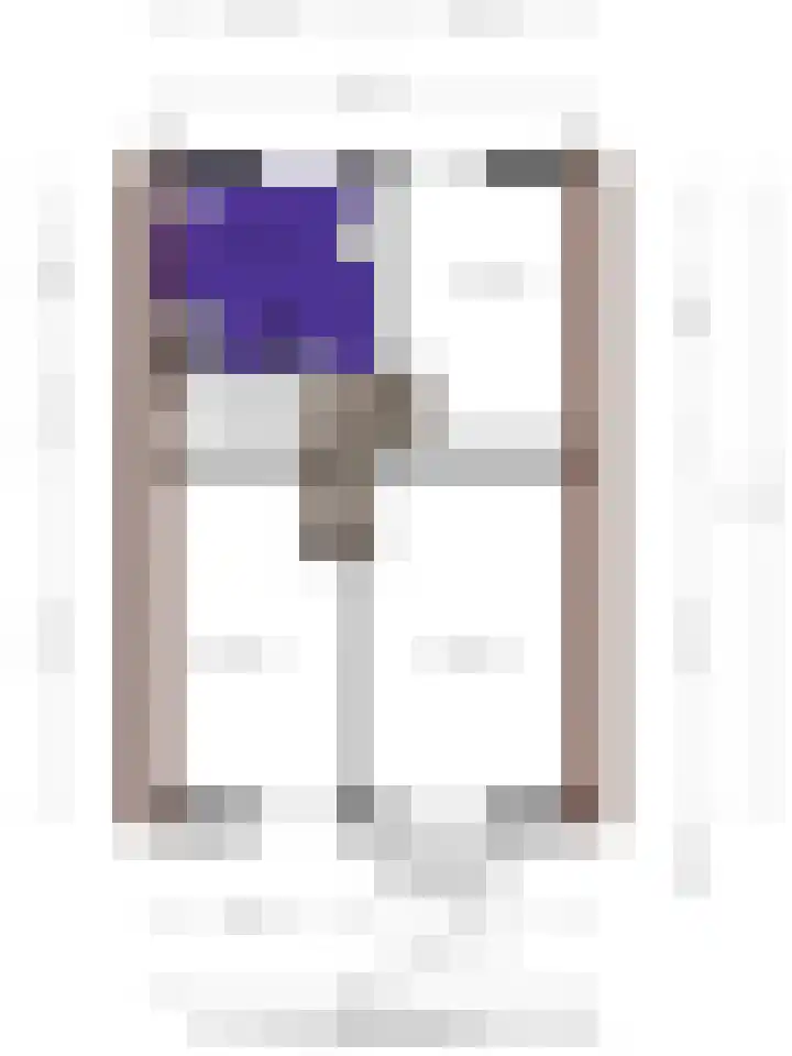 Doalhôf 110 A Gorredijk thumbnail 46
