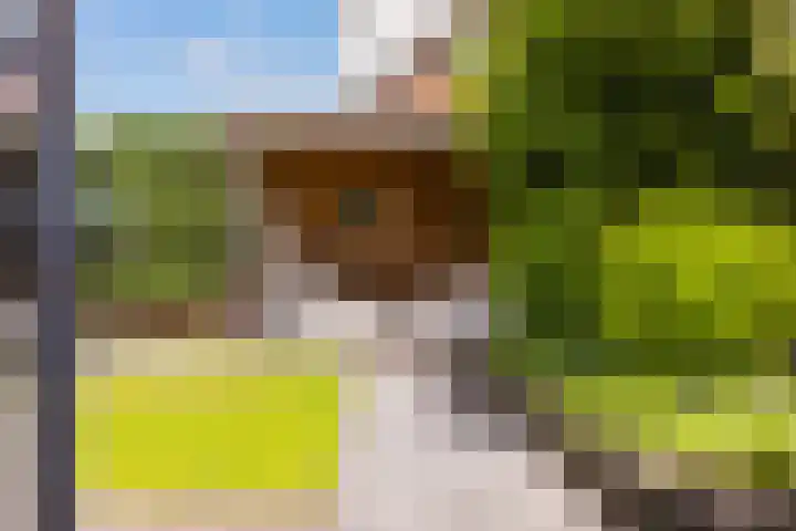 Doalhôf 95 Gorredijk thumbnail 15
