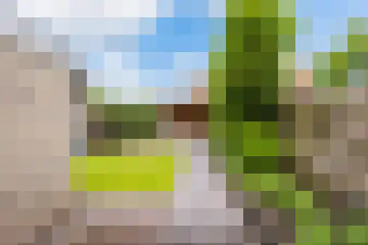 Doalhôf 95 Gorredijk thumbnail 16
