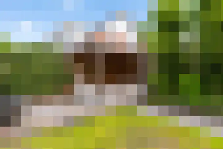 Doalhôf 95 Gorredijk thumbnail 17
