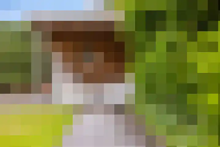 Doalhôf 95 Gorredijk thumbnail 18