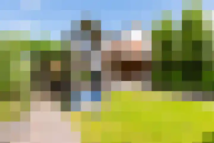 Doalhôf 95 Gorredijk thumbnail 19