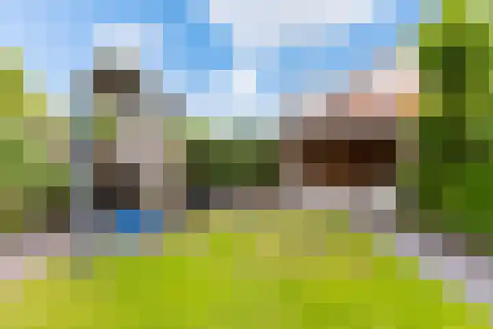 Doalhôf 95 Gorredijk thumbnail 20