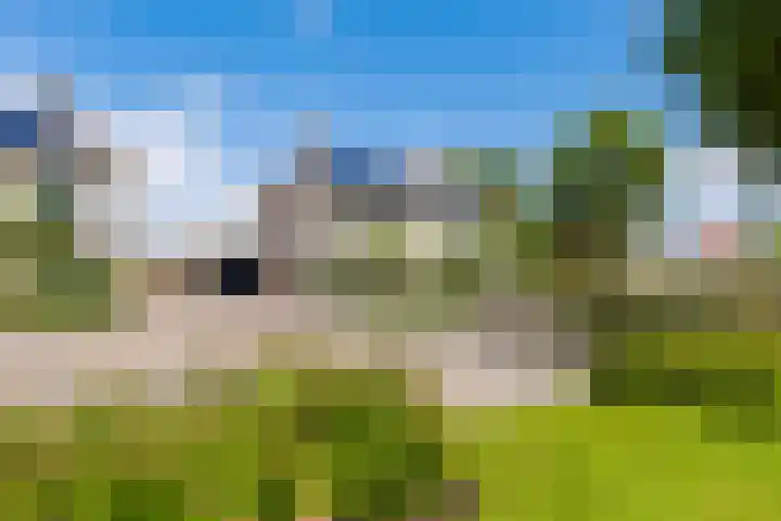 Doalhôf 95 Gorredijk thumbnail 24