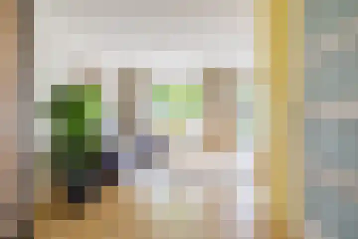 Doalhôf 95 Gorredijk thumbnail 30