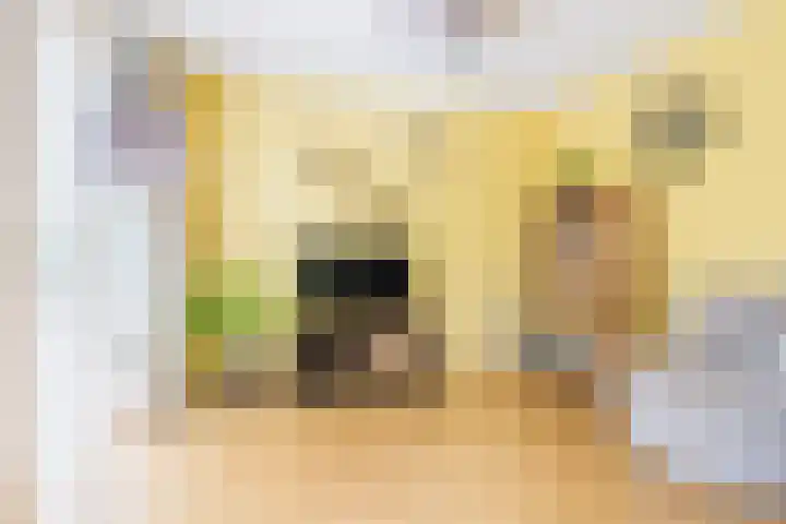 Doalhôf 95 Gorredijk thumbnail 31