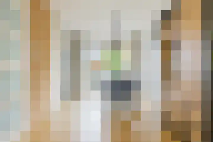 Doalhôf 95 Gorredijk thumbnail 34