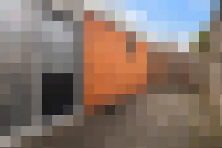 Doarpsstrjitte 14 De Westereen thumbnail 10