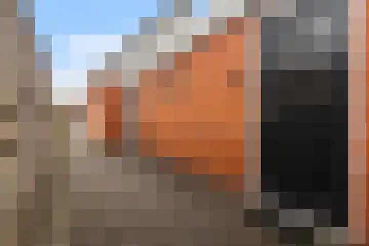 Doarpsstrjitte 14 De Westereen thumbnail 11