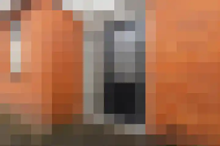 Doarpsstrjitte 14 De Westereen thumbnail 12